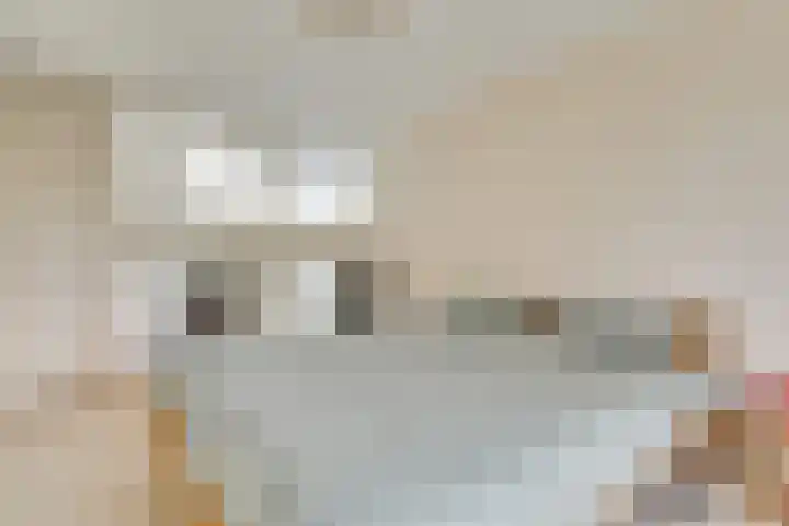Het Wolfseind 18 Amersfoort thumbnail 23