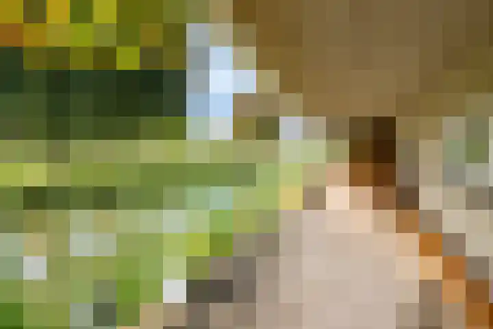 Het Wolfseind 18 Amersfoort thumbnail 4