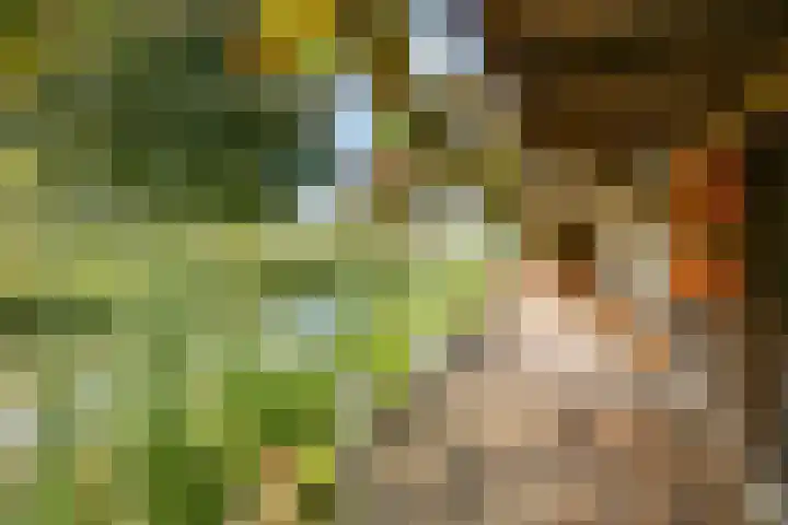 Het Wolfseind 18 Amersfoort thumbnail 41
