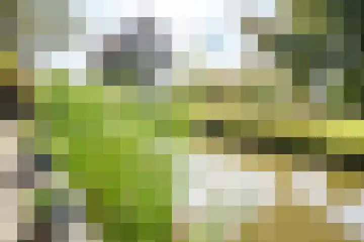 Het Wolfseind 18 Amersfoort thumbnail 42