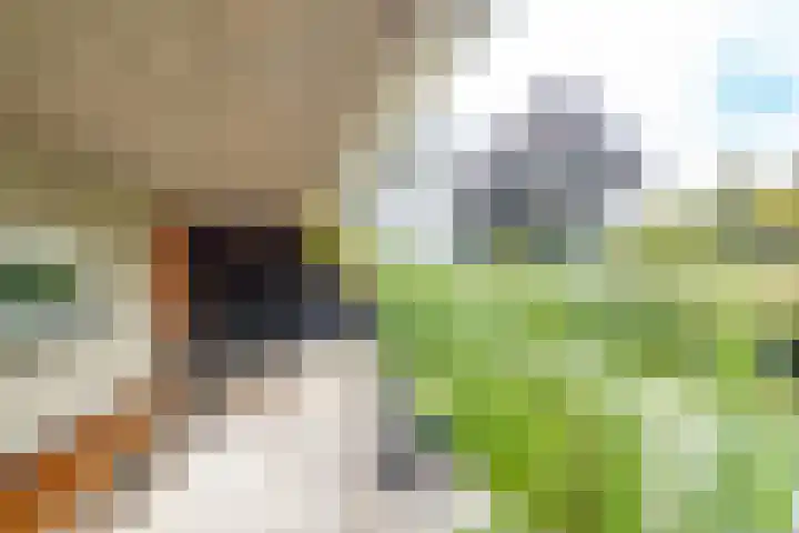 Het Wolfseind 18 Amersfoort thumbnail 43