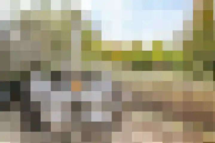 Het Wolfseind 18 Amersfoort thumbnail 44