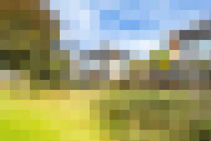 Het Wolfseind 18 Amersfoort thumbnail 49