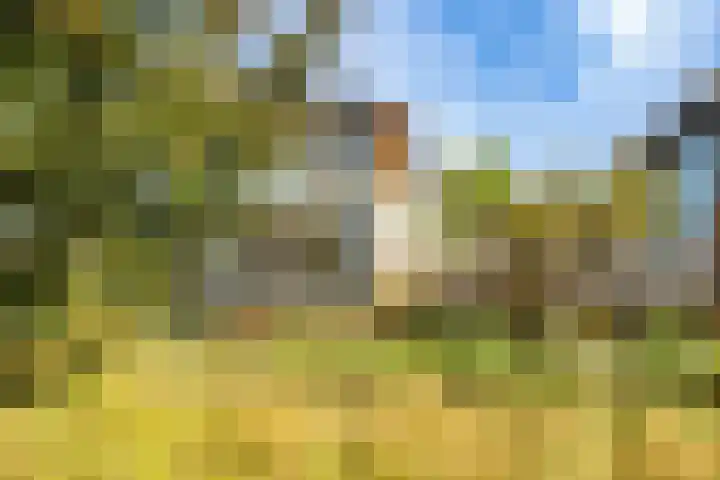 Het Wolfseind 18 Amersfoort thumbnail 50