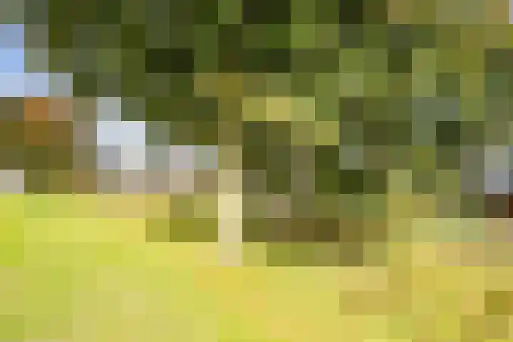 Het Wolfseind 18 Amersfoort thumbnail 51