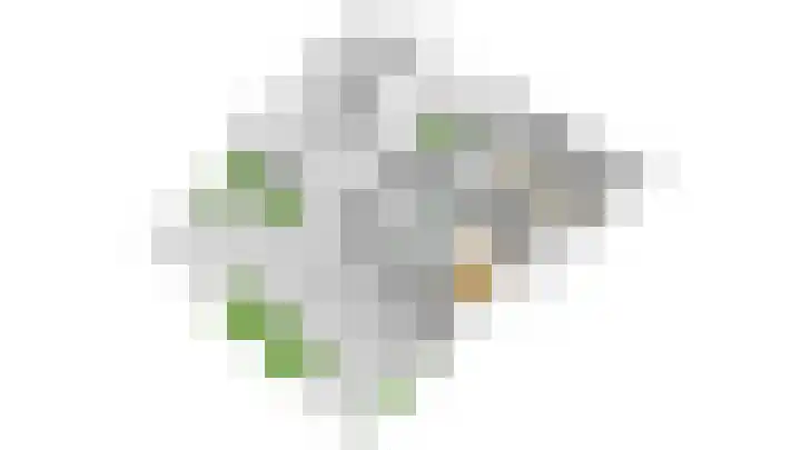 Het Wolfseind 18 Amersfoort thumbnail 54