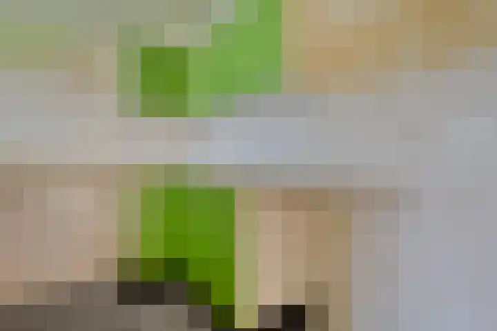 het Wolfseind 36 Raalte thumbnail 11