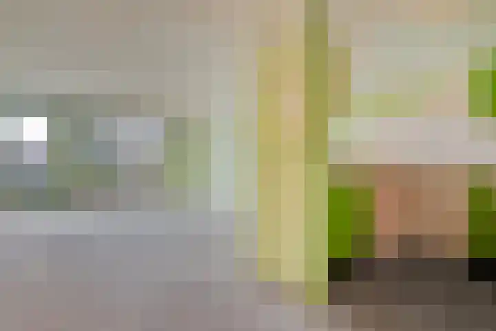 het Wolfseind 36 Raalte thumbnail 13