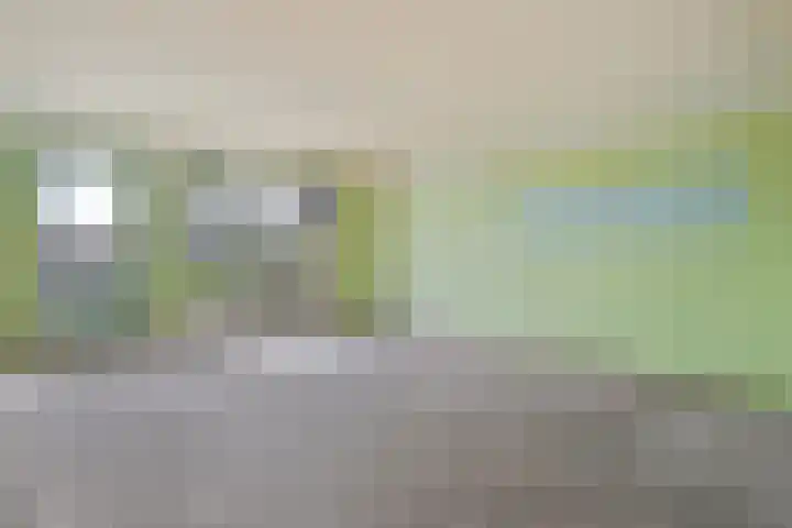 het Wolfseind 36 Raalte thumbnail 17