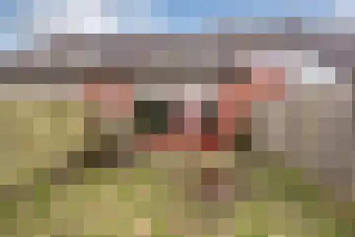 het Wolfseind 36 Raalte thumbnail 27