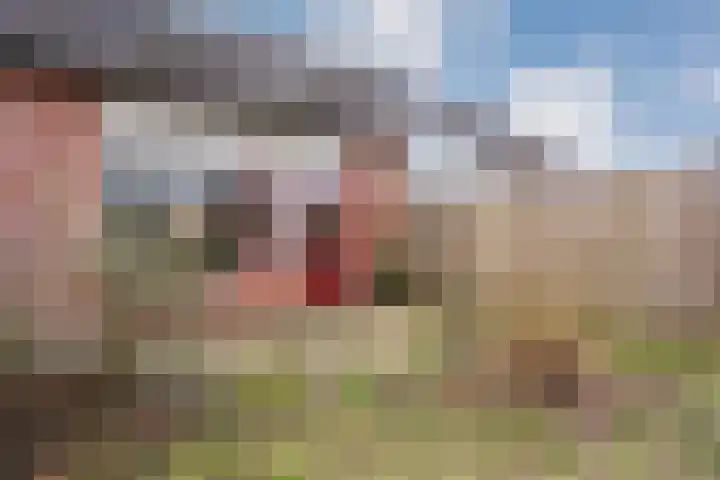 het Wolfseind 36 Raalte thumbnail 28