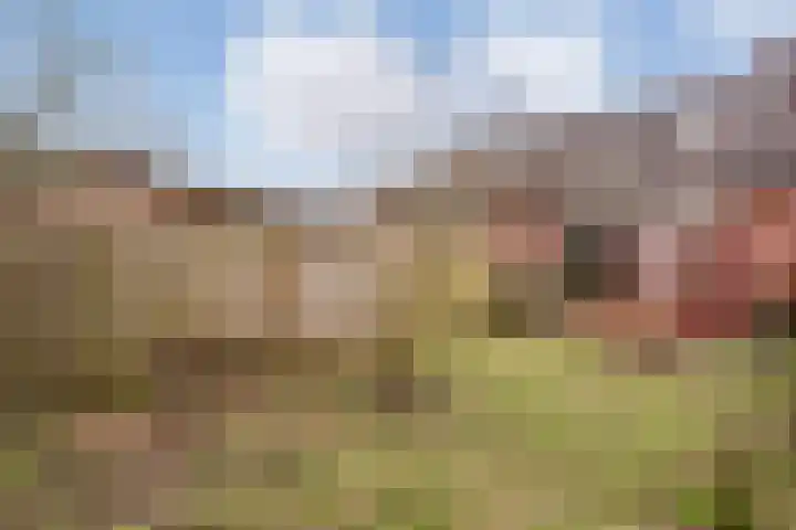 het Wolfseind 36 Raalte thumbnail 29