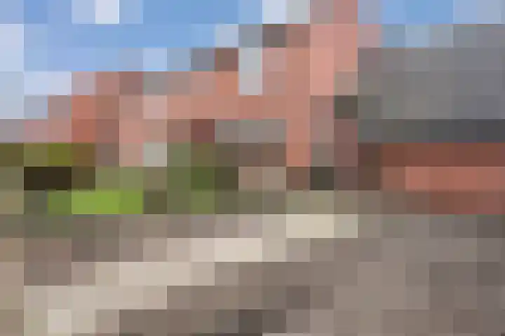 het Wolfseind 36 Raalte foto 3