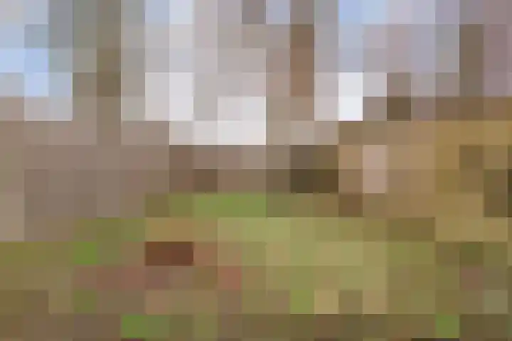 het Wolfseind 36 Raalte thumbnail 30