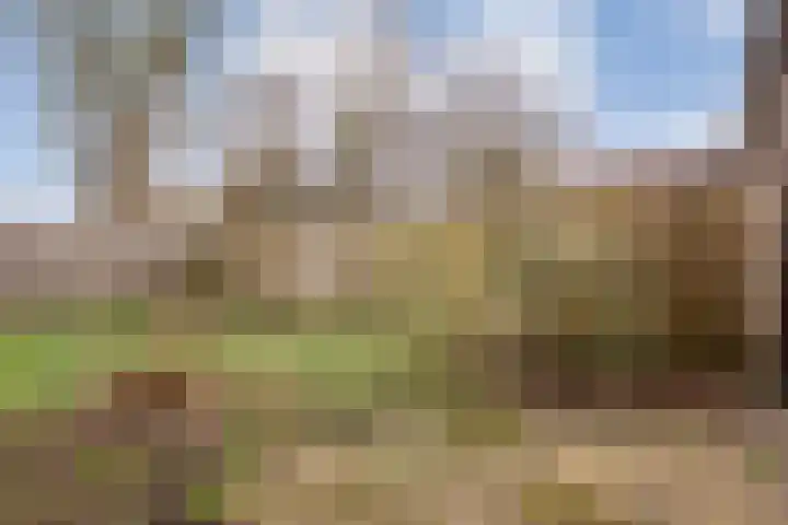 het Wolfseind 36 Raalte thumbnail 31