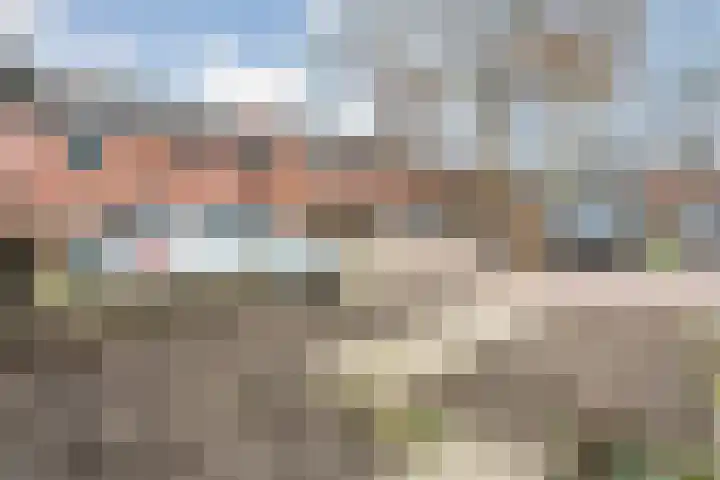het Wolfseind 36 Raalte thumbnail 32