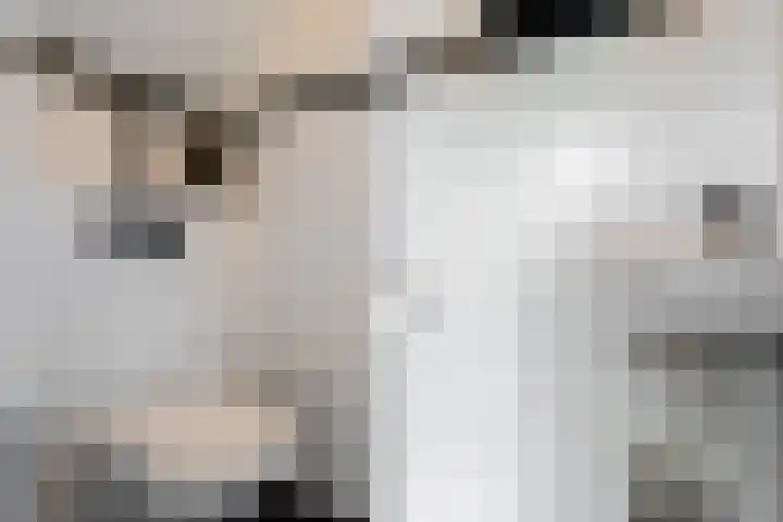 Het Woltmansland 12 Hasselt thumbnail 10
