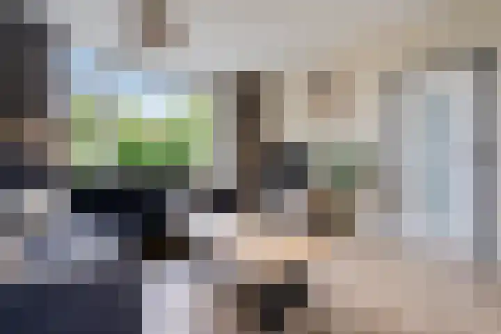 Het Woltmansland 12 Hasselt thumbnail 12