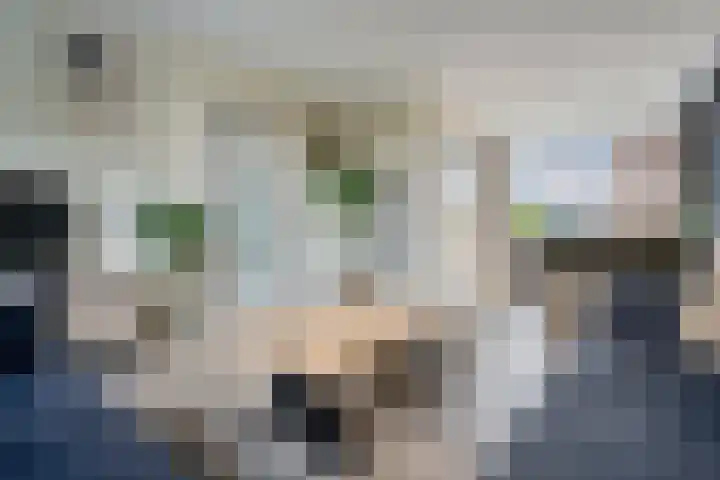 Het Woltmansland 12 Hasselt thumbnail 13