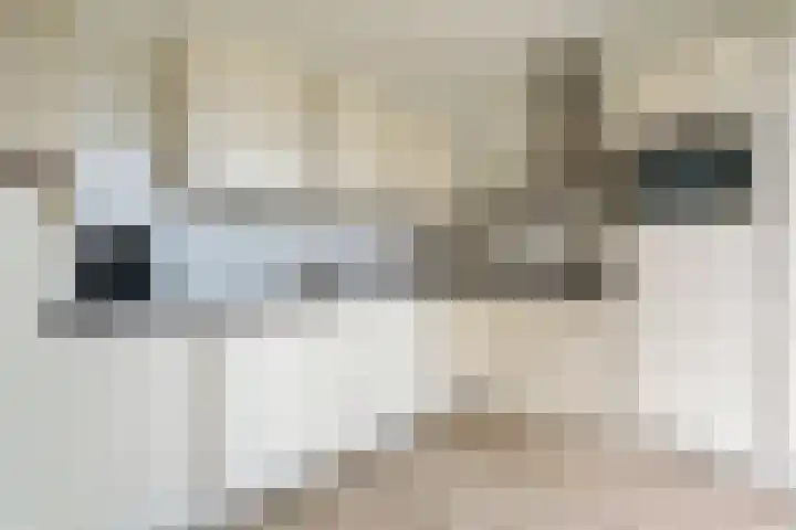 Het Woltmansland 12 Hasselt thumbnail 21