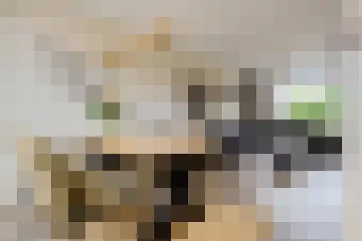 Het Woltmansland 12 Hasselt thumbnail 23