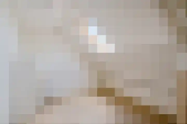 Het Woltmansland 12 Hasselt thumbnail 24
