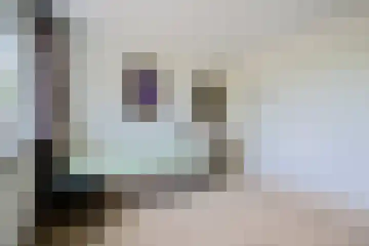 Het Woltmansland 12 Hasselt thumbnail 33