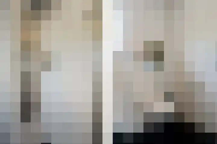 Het Woltmansland 12 Hasselt thumbnail 37