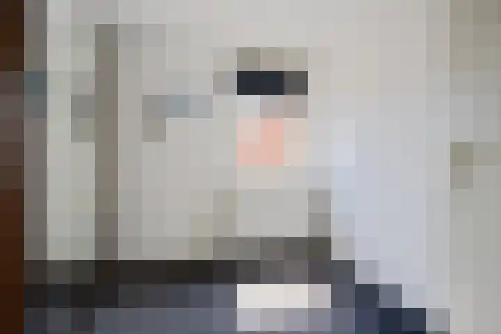 Het Woltmansland 12 Hasselt thumbnail 38