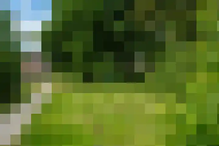 Het Woltmansland 12 Hasselt thumbnail 4