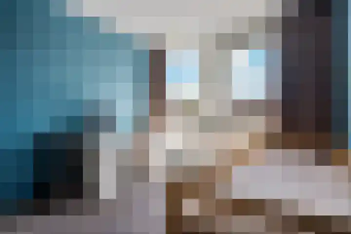 Het Woltmansland 12 Hasselt thumbnail 41