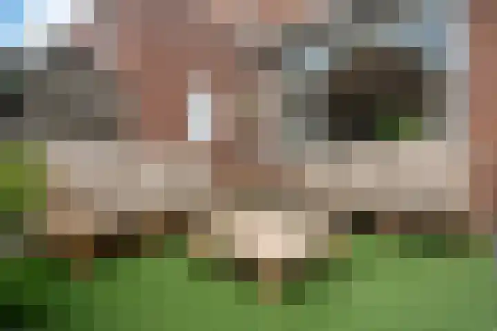 Het Woltmansland 12 Hasselt thumbnail 43