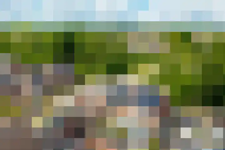 Het Woltmansland 12 Hasselt thumbnail 48