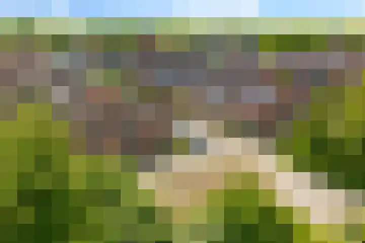Het Woltmansland 12 Hasselt thumbnail 49