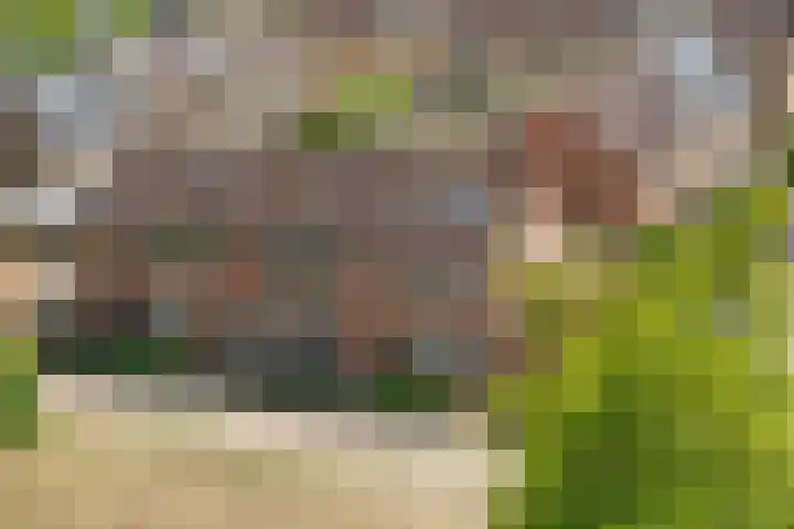 Het Woltmansland 12 Hasselt thumbnail 50