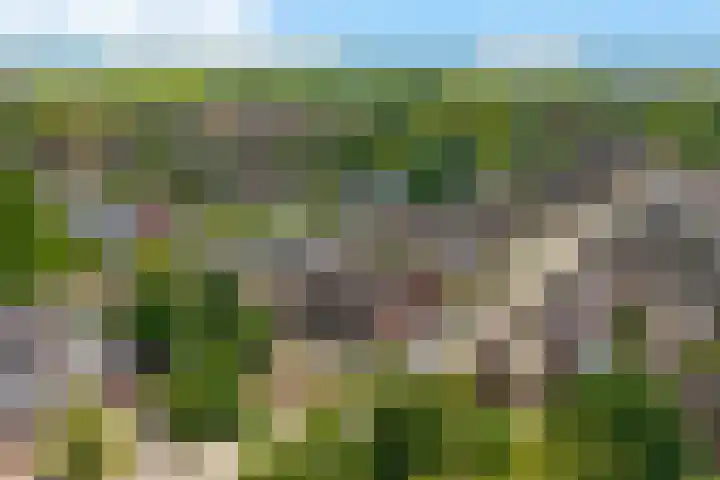 Het Woltmansland 12 Hasselt thumbnail 51