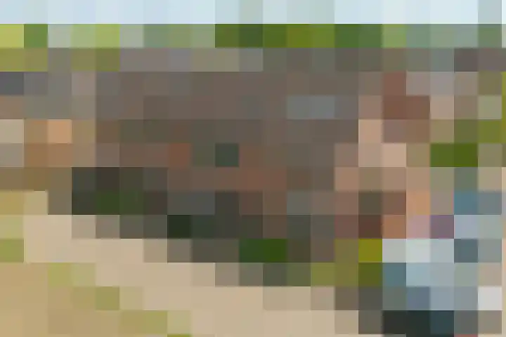 Het Woltmansland 12 Hasselt thumbnail 6