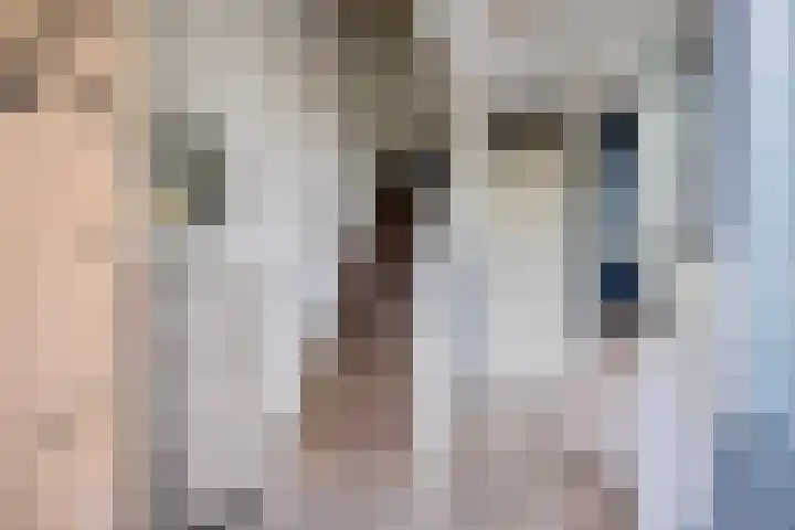 Het Woltmansland 12 Hasselt thumbnail 9