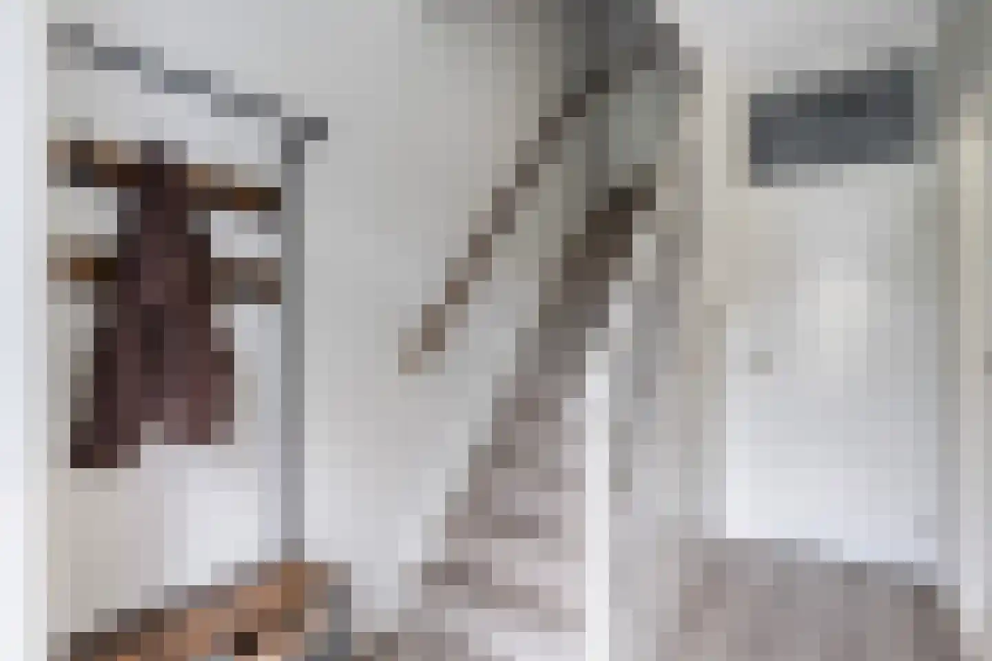 Het Woltmansland 6 Hasselt thumbnail 13