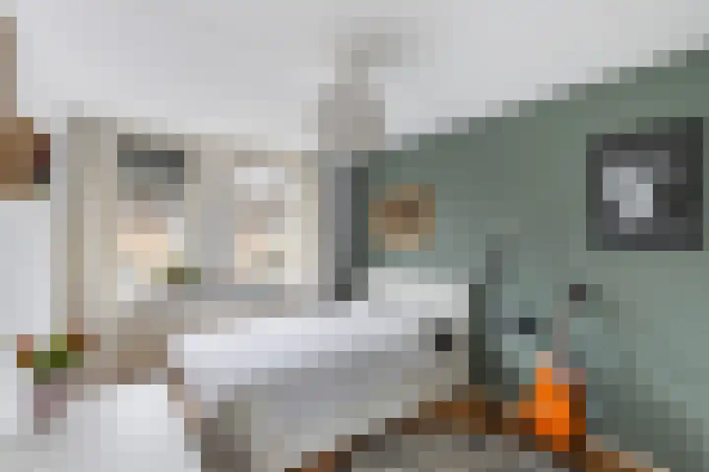 Het Woltmansland 6 Hasselt thumbnail 20