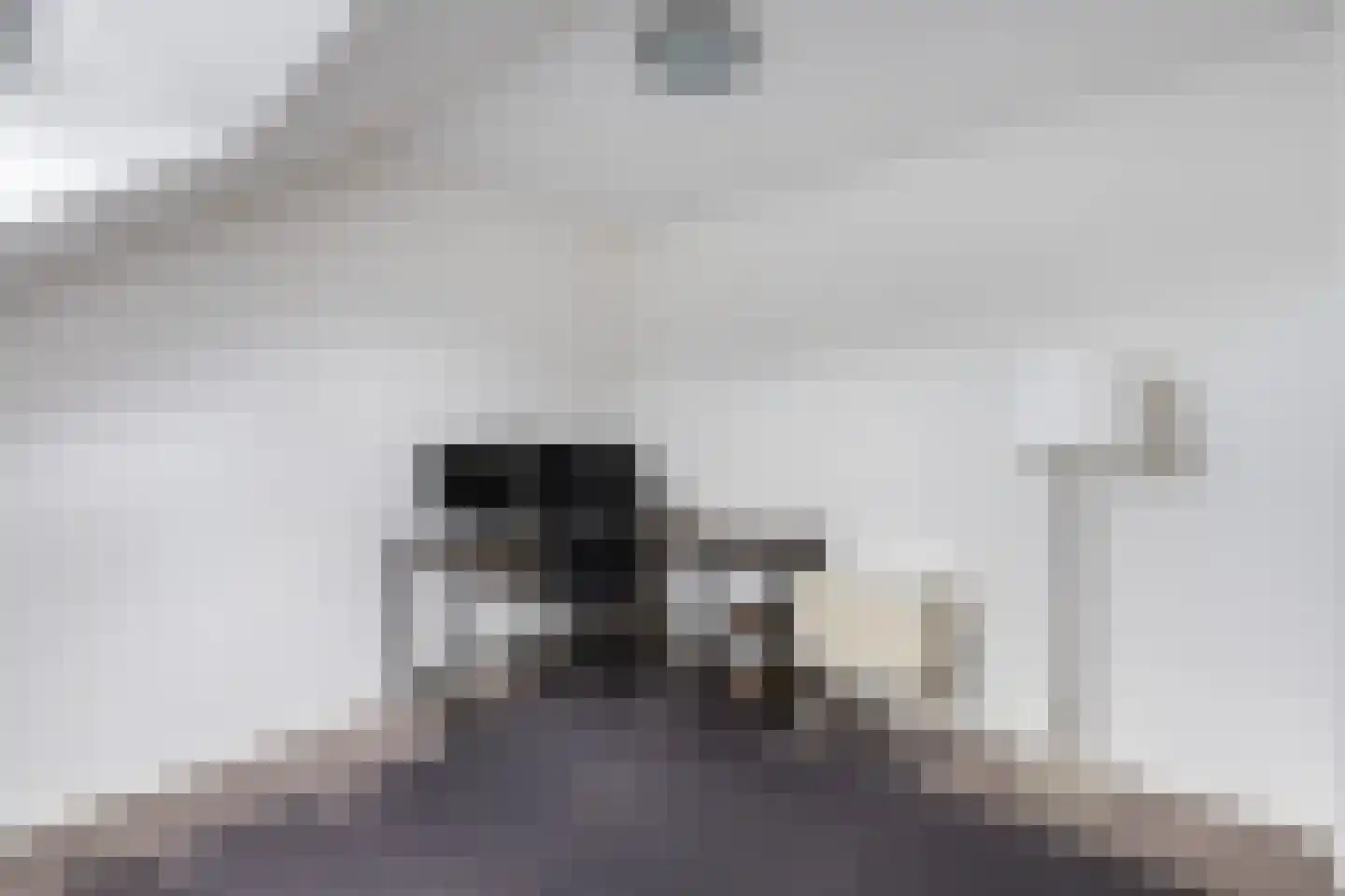 Het Woltmansland 6 Hasselt thumbnail 26
