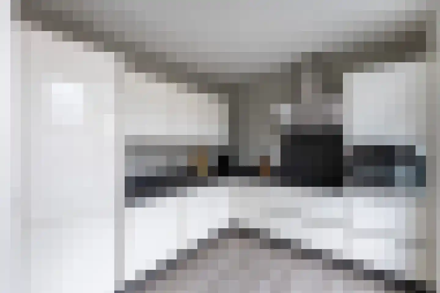 Het Woltmansland 6 Hasselt thumbnail 9