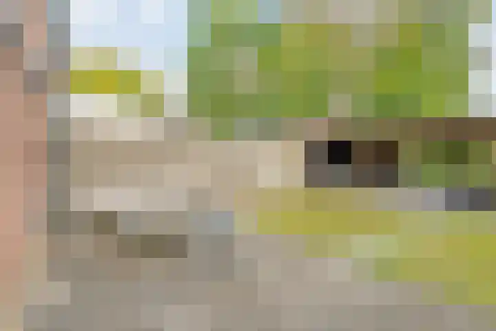 het Woold 29 Raalte thumbnail 31