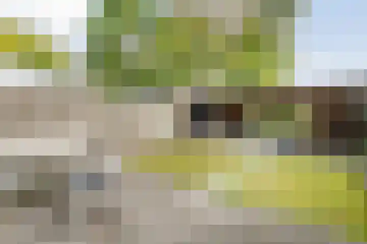 het Woold 29 Raalte thumbnail 35