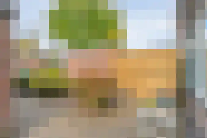 het Woold 29 Raalte thumbnail 4