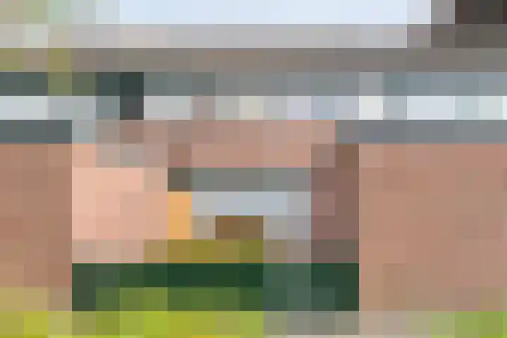 het Woold 29 Raalte thumbnail 5