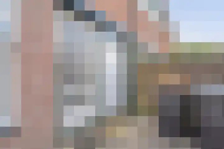 het Woold 29 Raalte thumbnail 6