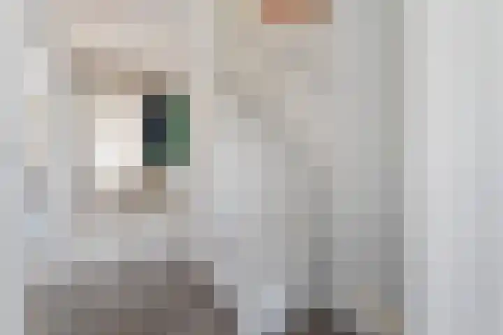 het Woold 29 Raalte thumbnail 8