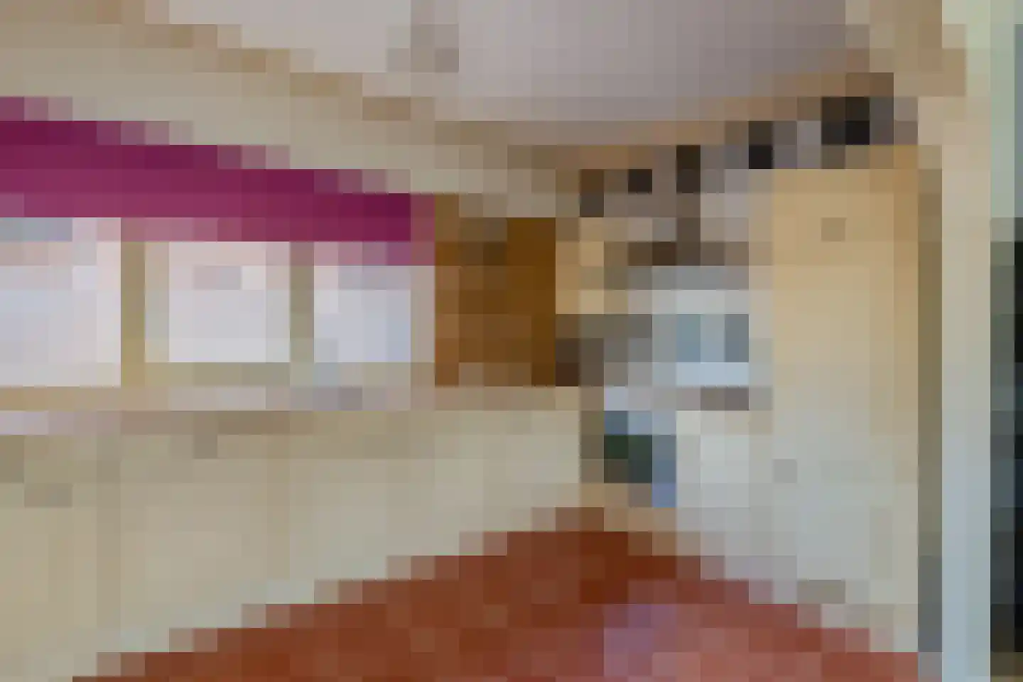 het Woold 72 Raalte thumbnail 11