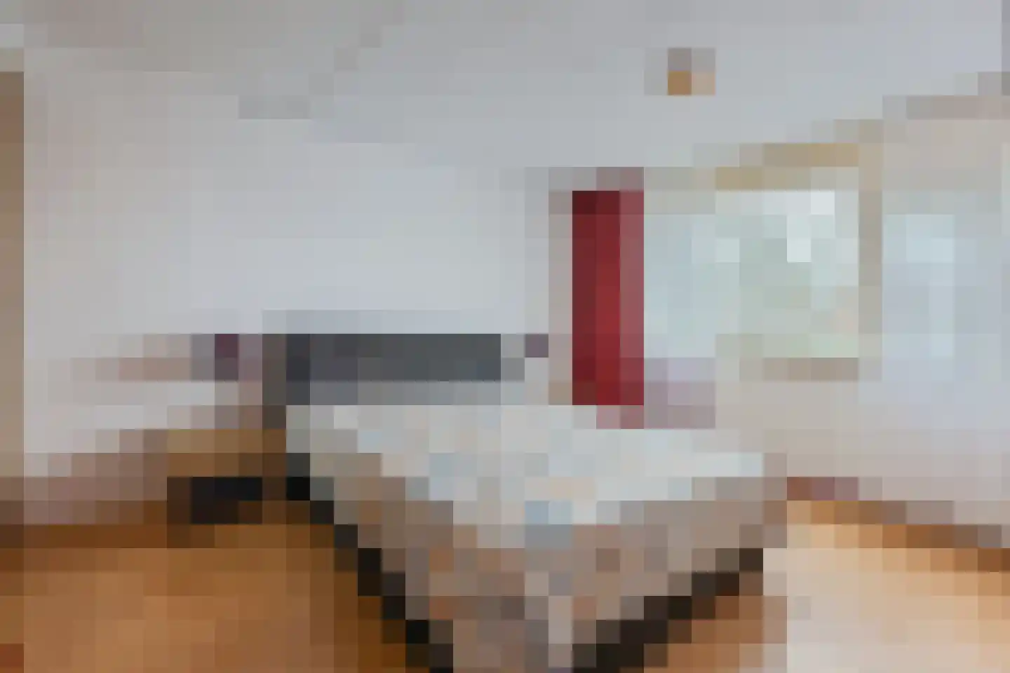 het Woold 72 Raalte thumbnail 17